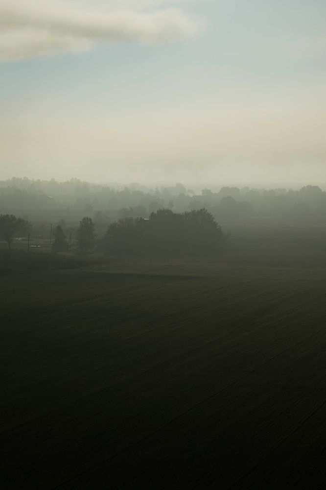 Фотография автора Алиса Исаева