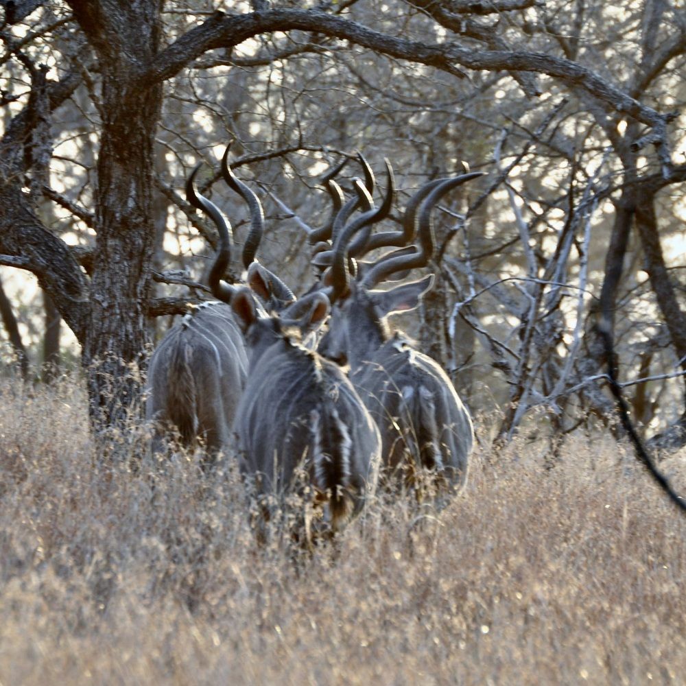 Photograph by Sandra Bruttomesso