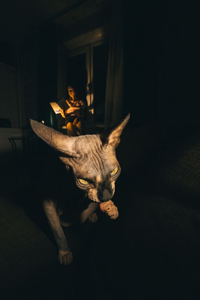 Photograph by Смолянинова Татьяна