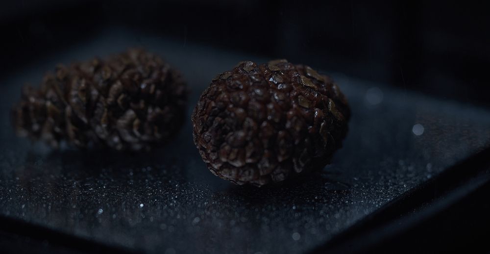 Photograph by Михаил