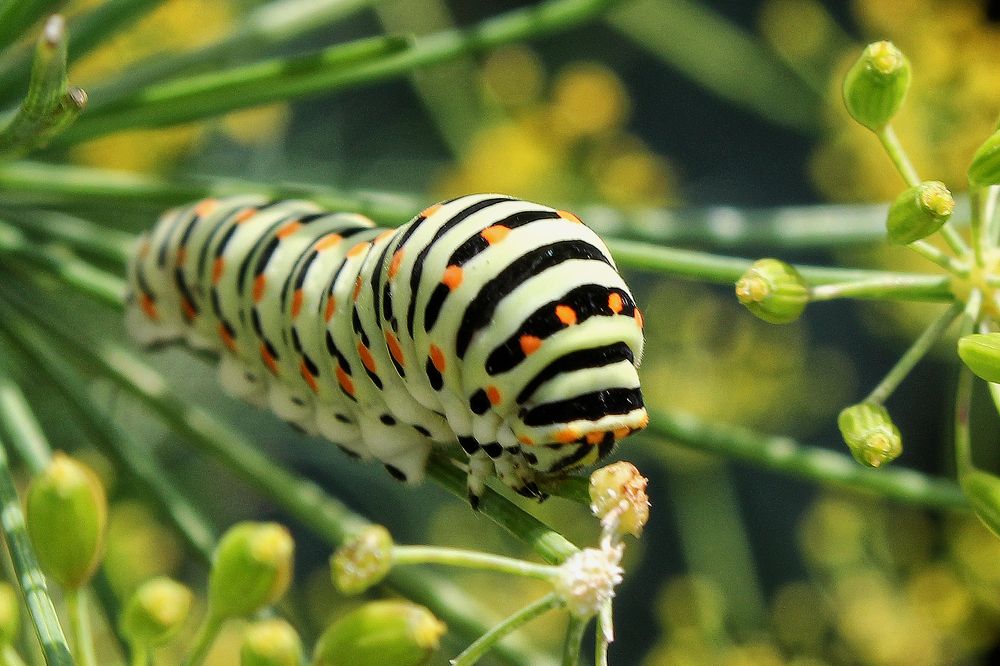 Photograph by Vitaliy Saposhnikov