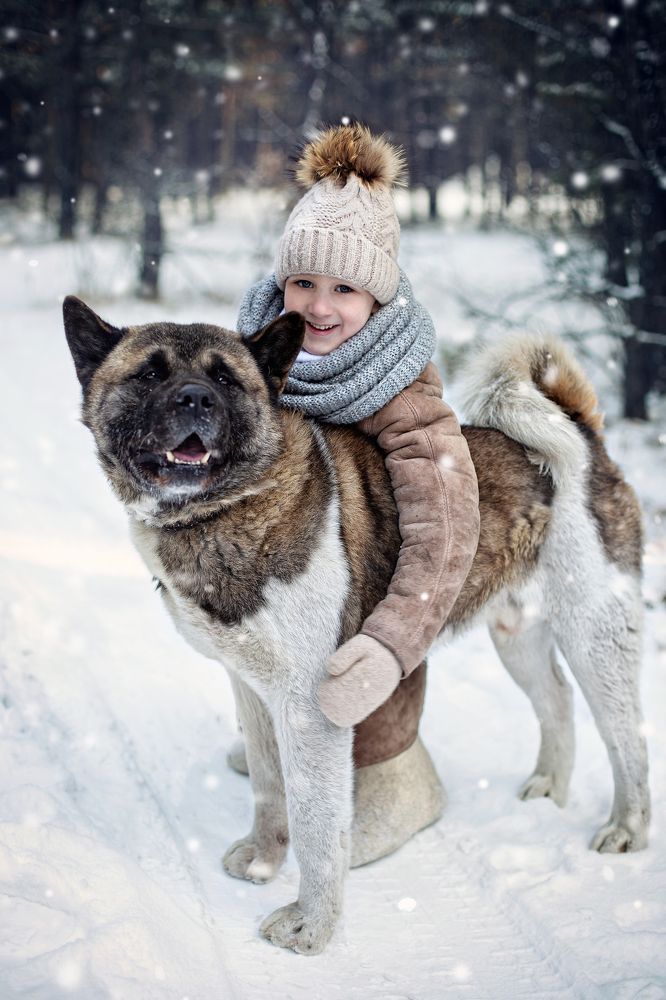Фотография автора Шутенкова Евгения