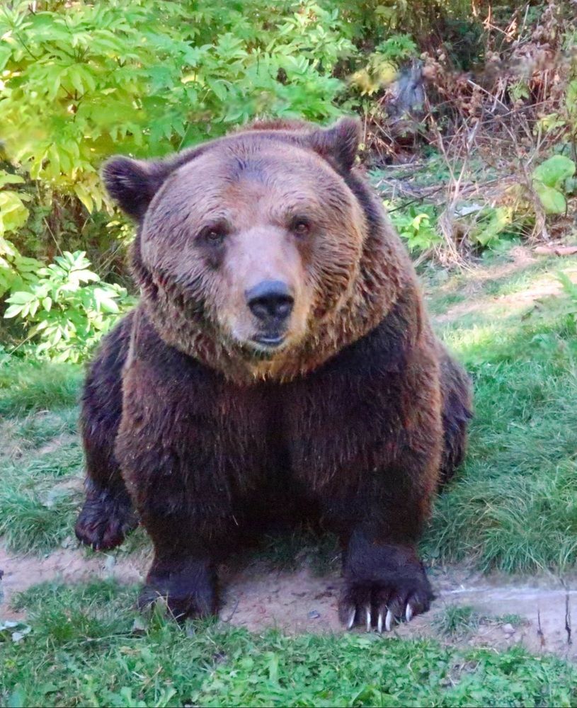 Photograph by Rina Faktor