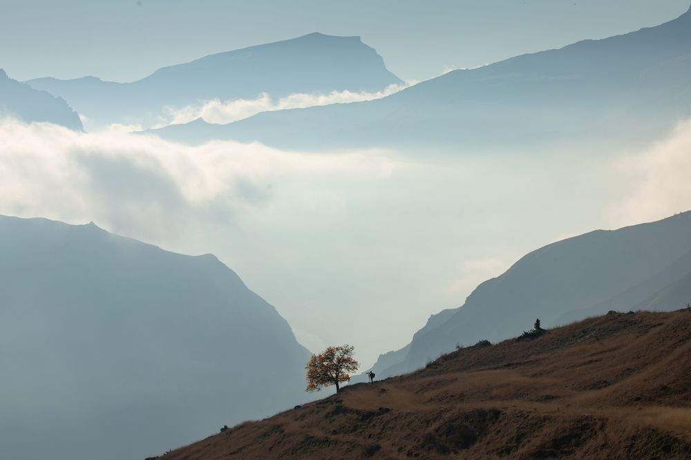 Photograph by Boris Konovalov