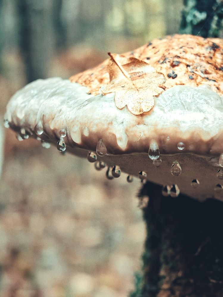 Photograph by Nastassia Krychautsova