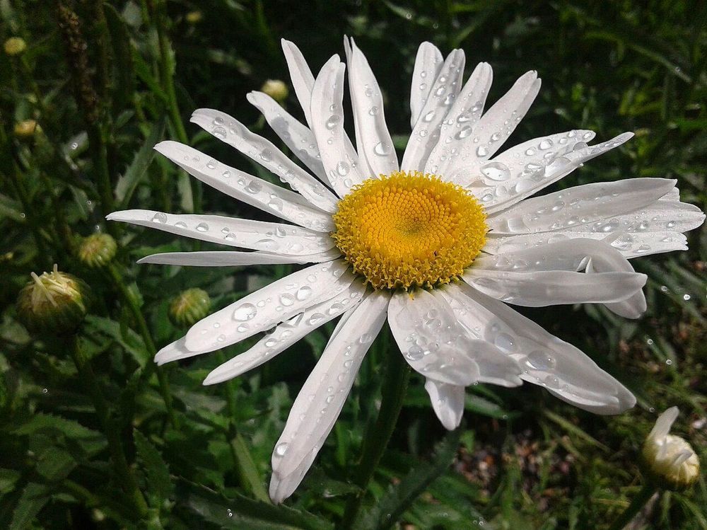 Photograph by Дарья Кирина