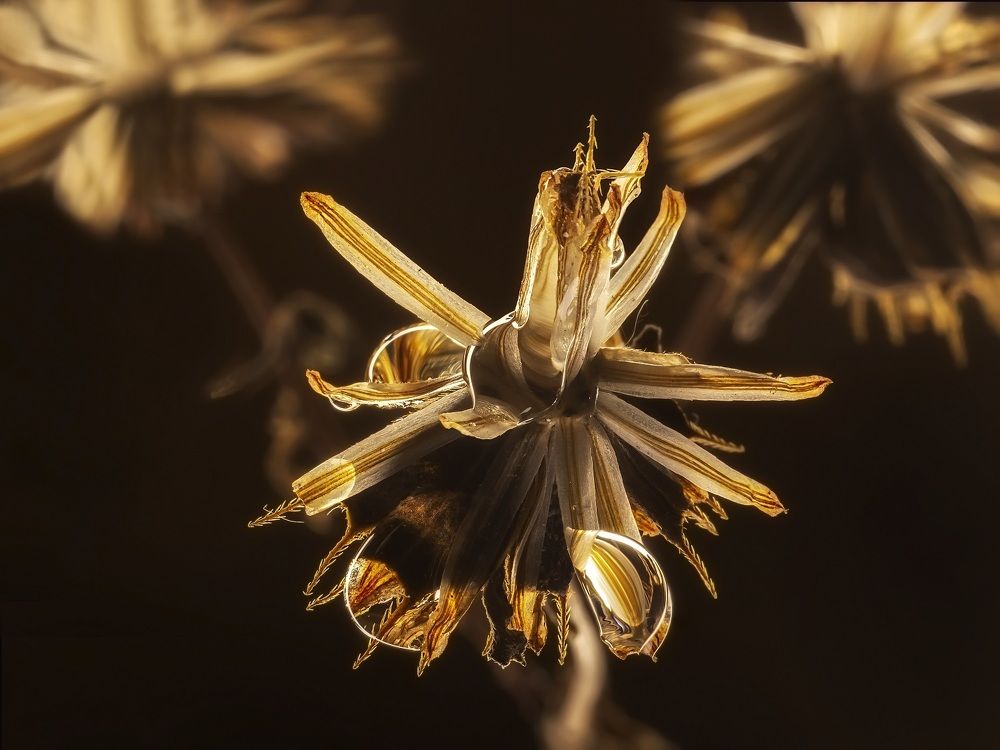 Photograph by Минаева Вера