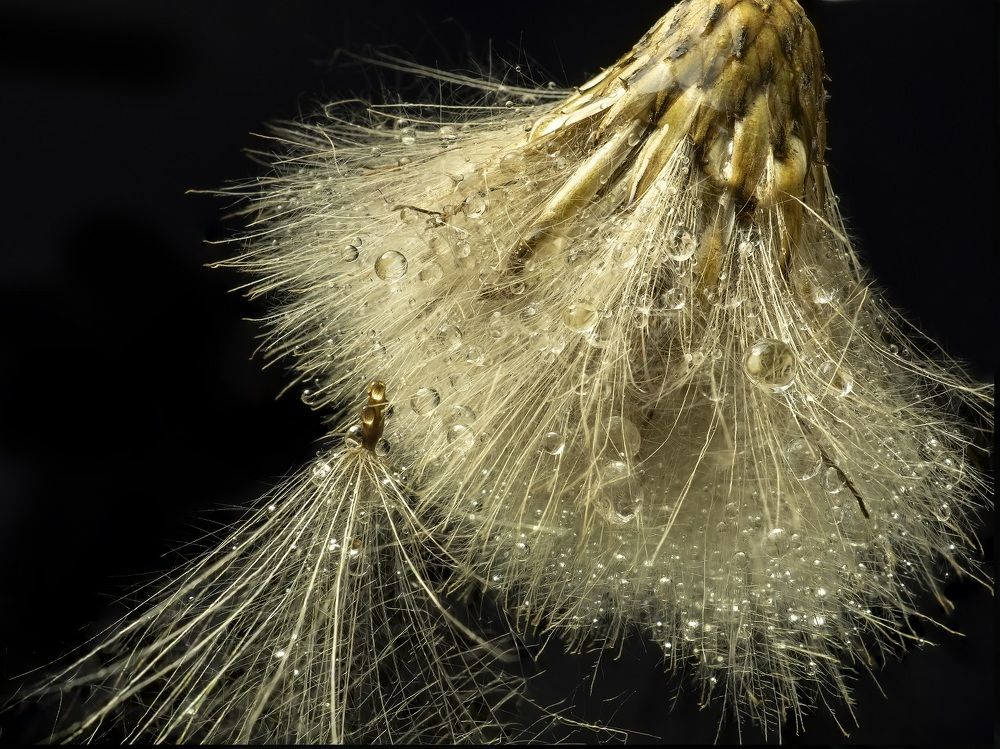 Photograph by Минаева Вера