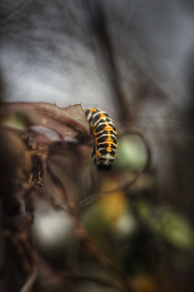 Photograph by Евгения Кинжакова