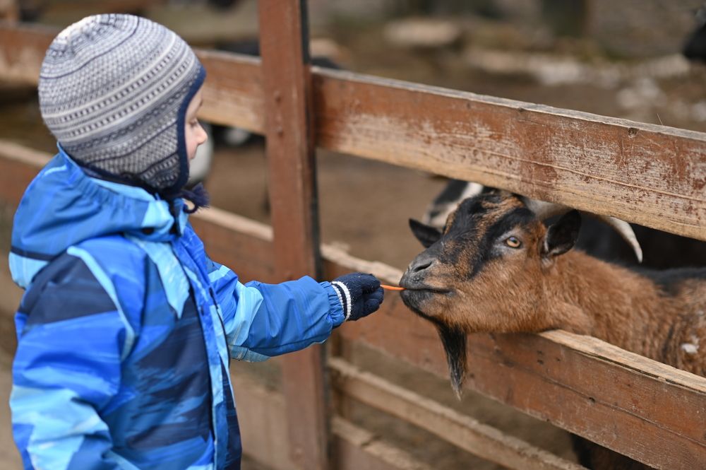 Photograph by Надежда Гусева