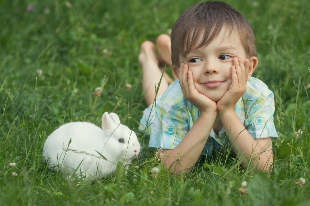 Фотография автора Игорь Ефремычев