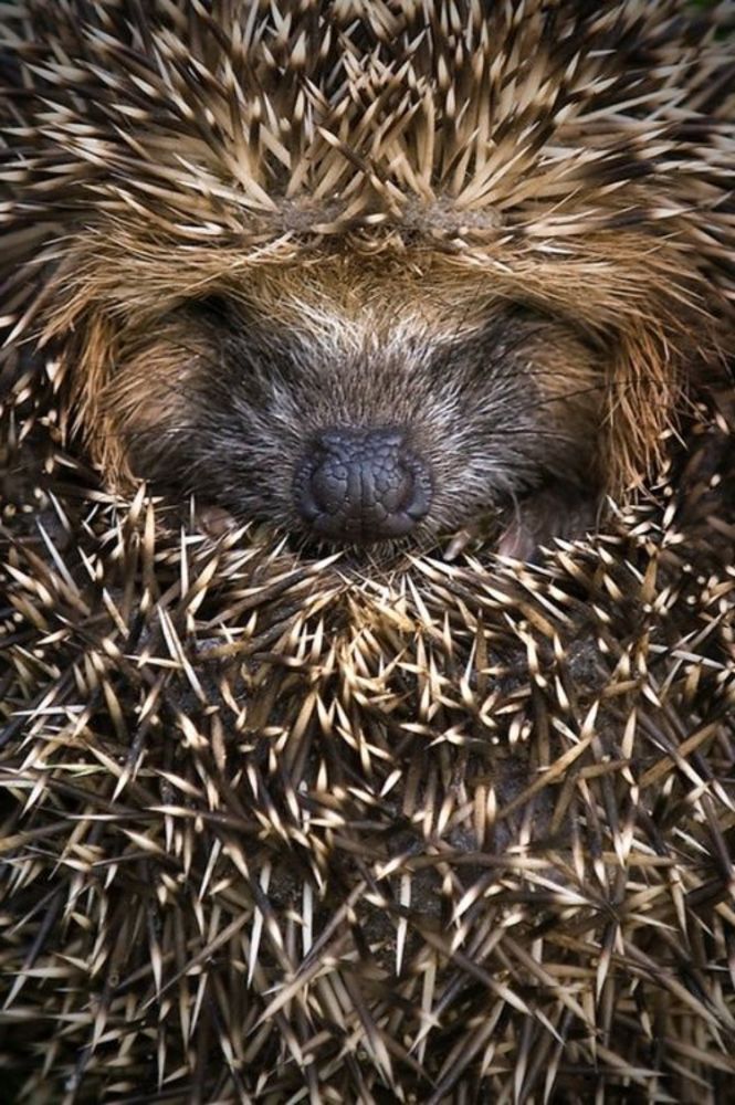 Photograph by Дарья Кирина