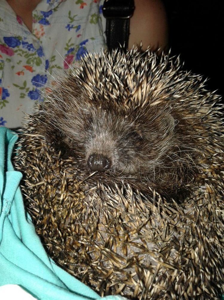 Photograph by Дарья Кирина