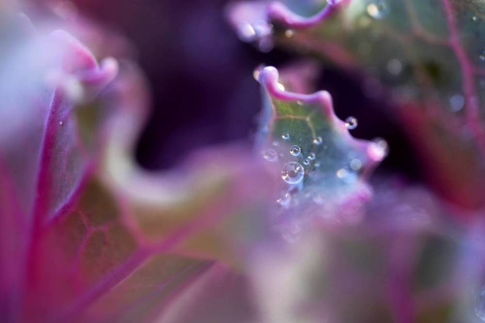 Photograph by Владислав Кравцов