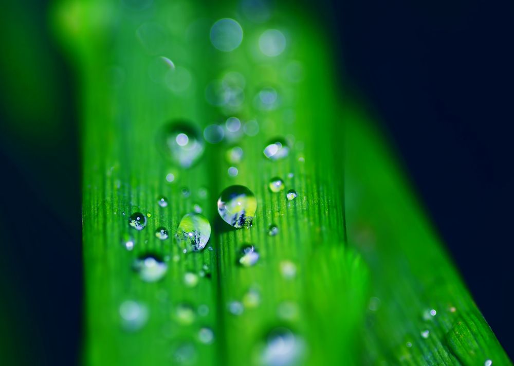 Photograph by Владислав Кравцов