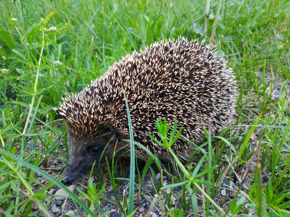 Photograph by Tatiana