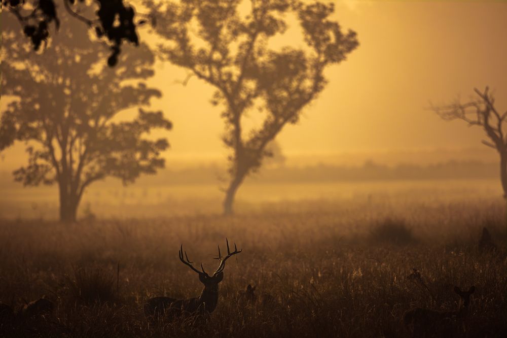 Photograph by Prince Pravin