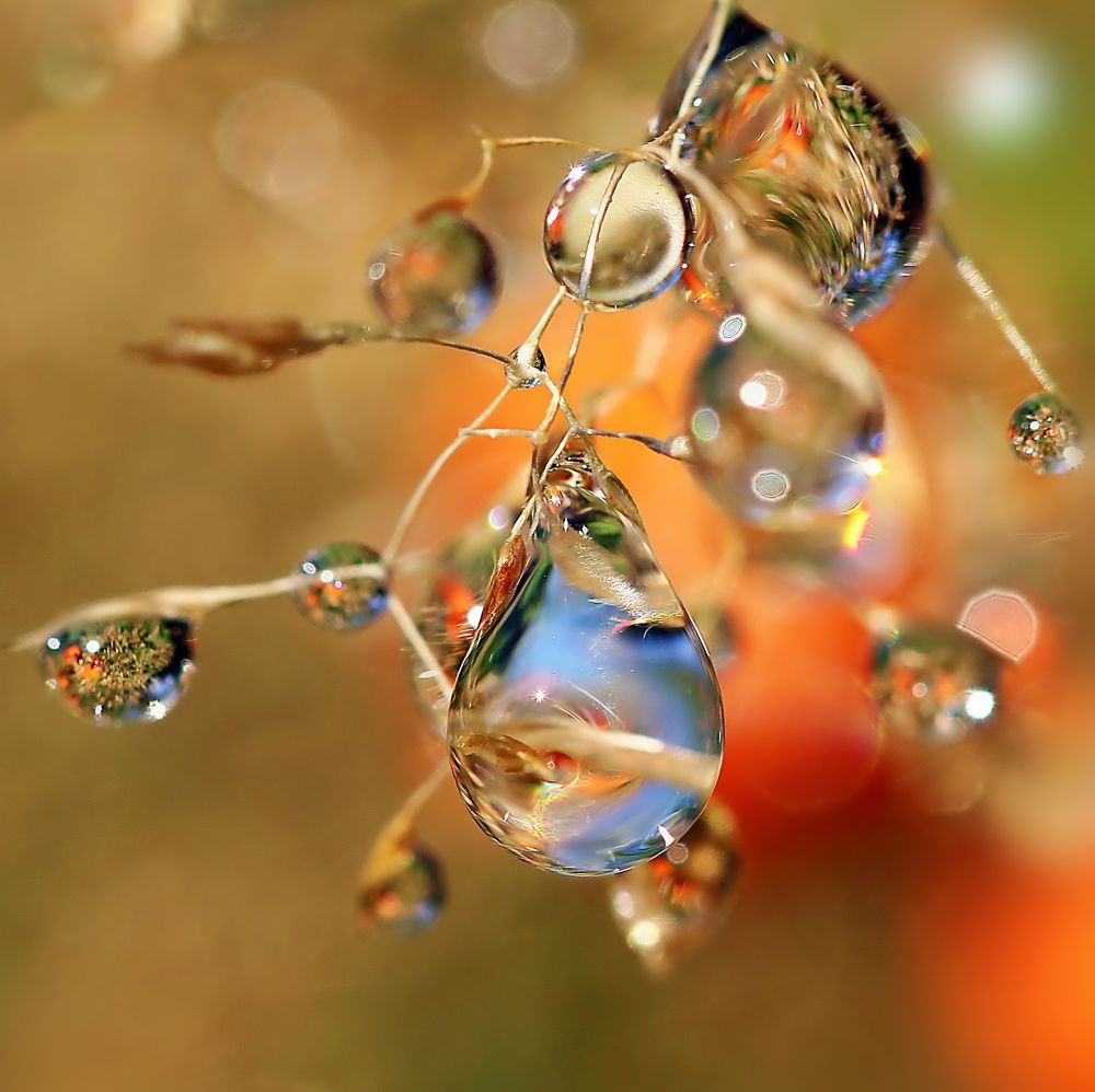 Photograph by Любовь Саханова