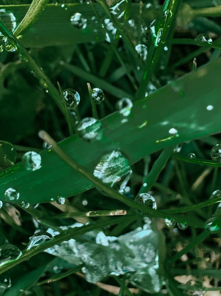 Фотография автора Вера