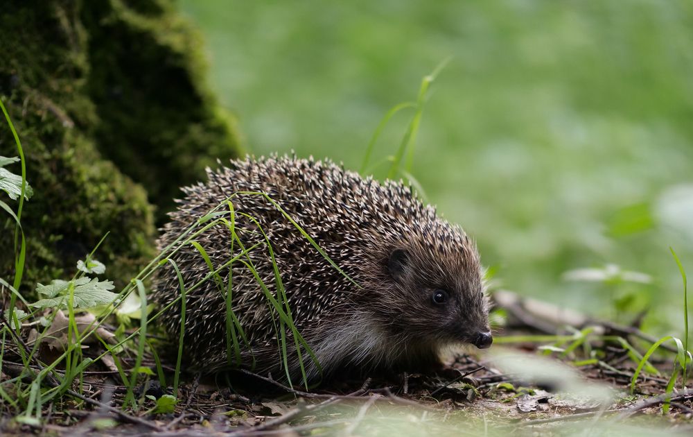 Photograph by Вера Машина