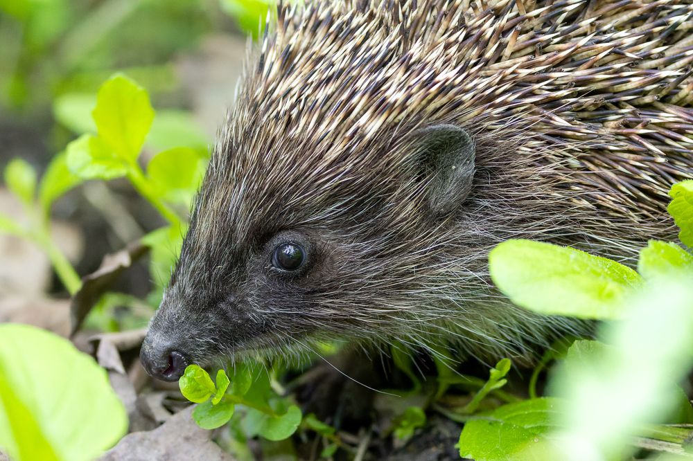 Photograph by Вера Машина