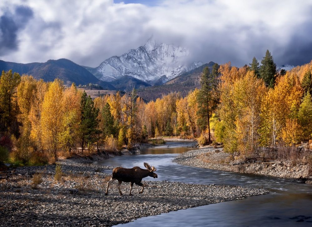 Photograph by Marina Poushkina