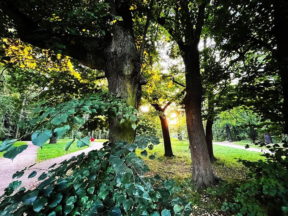 Сказки Удельного парка СПб... !