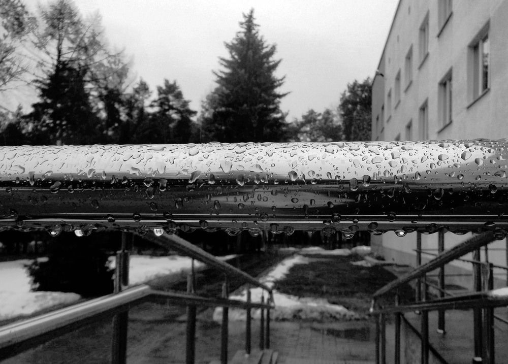 Photograph by Александр Зарх