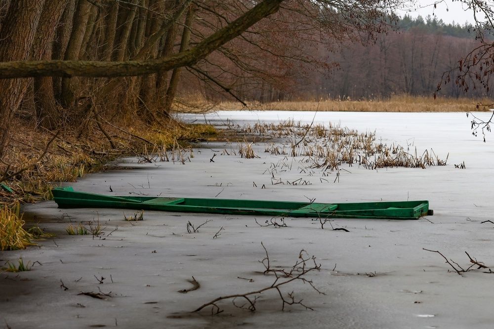 Photograph by Сергей Конюшенко