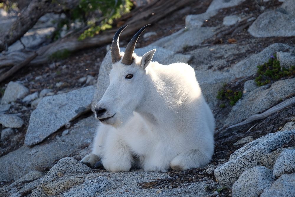 Photograph by Marina Poushkina