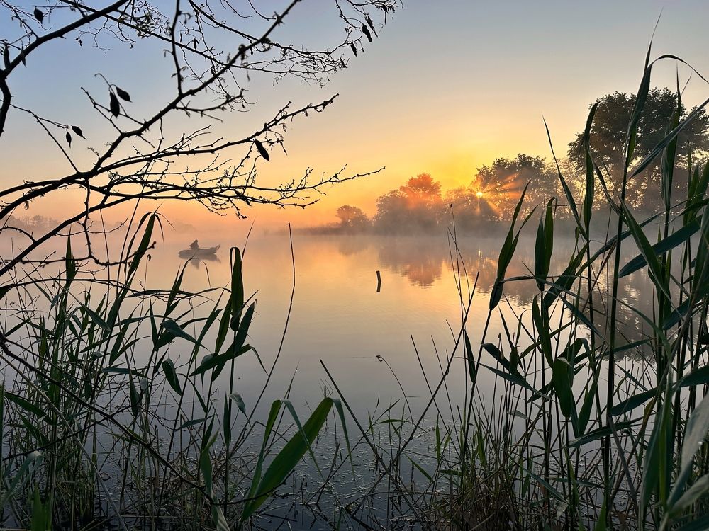 Photograph by Алексей Поляков
