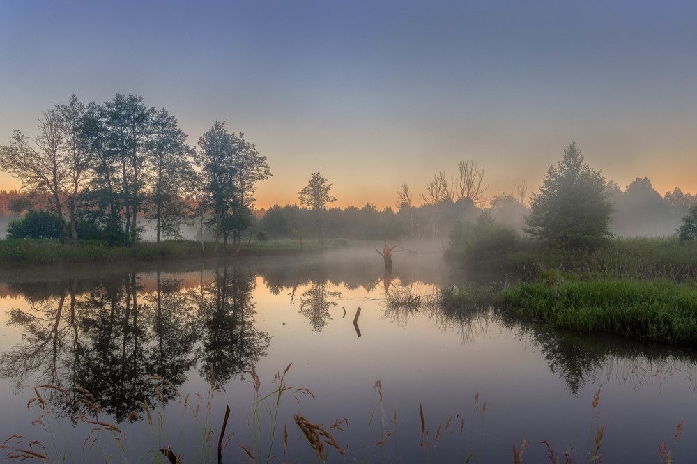 Фотография автора Сережин Сережа