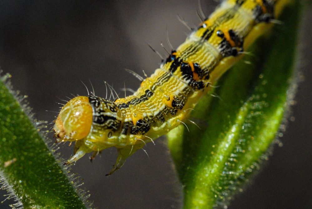 Photograph by Римма Волченко