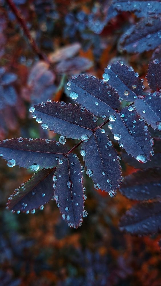 Фотография автора Анастасия Руднева