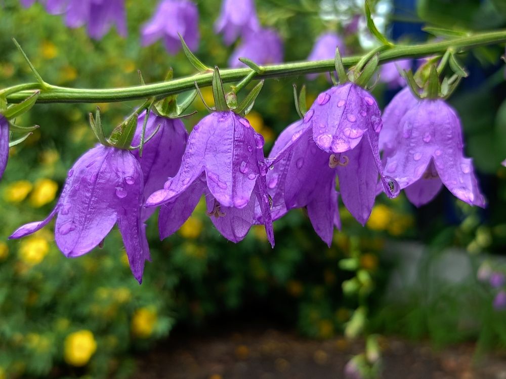 Photograph by Елена Чернякова