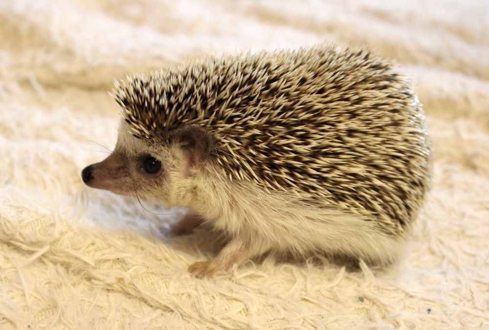 Photograph by Olga Bagaeva