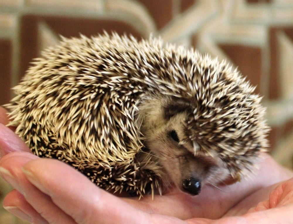 Photograph by Olga Bagaeva