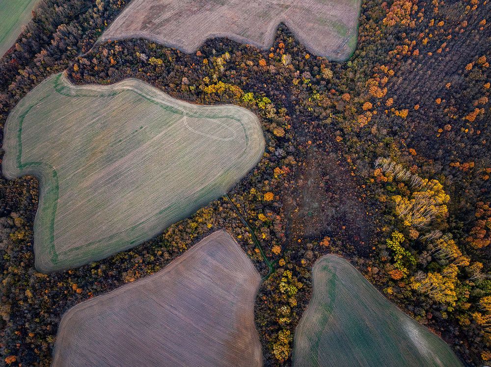 Photograph by Plamen