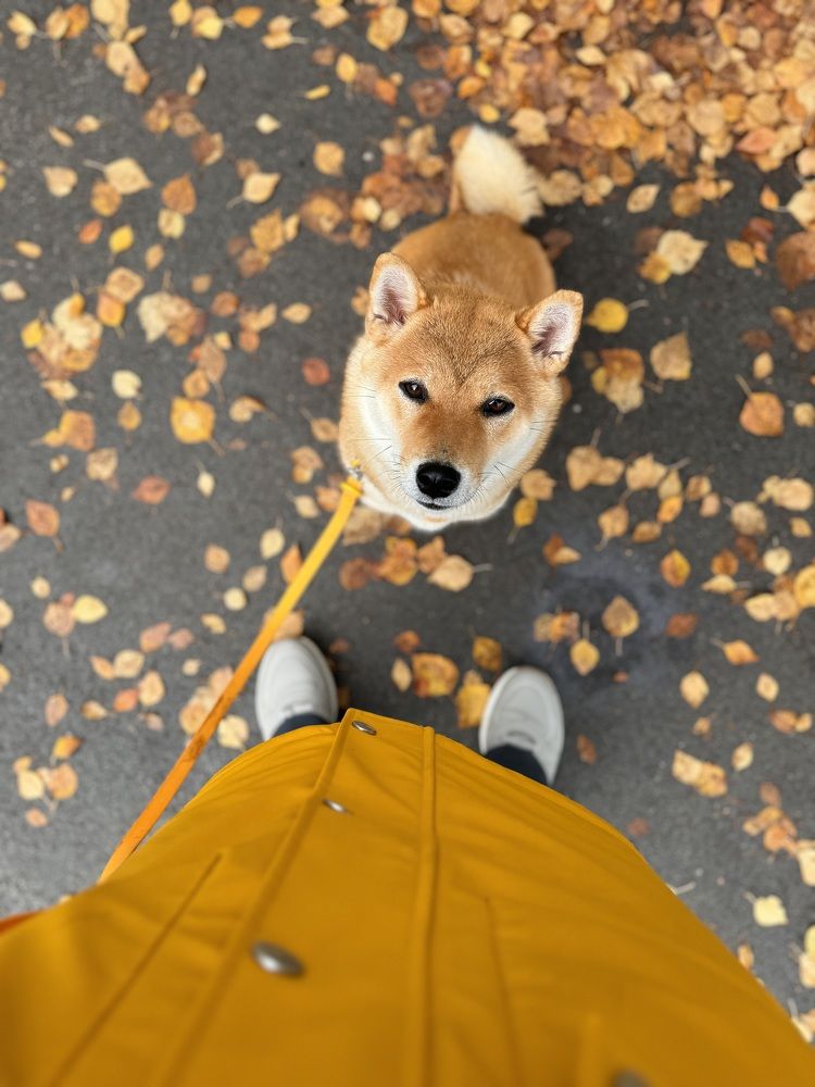 Photograph by Ксения Юртаева