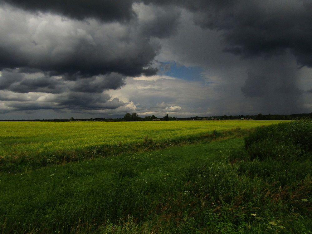 Photograph by Olga Kot