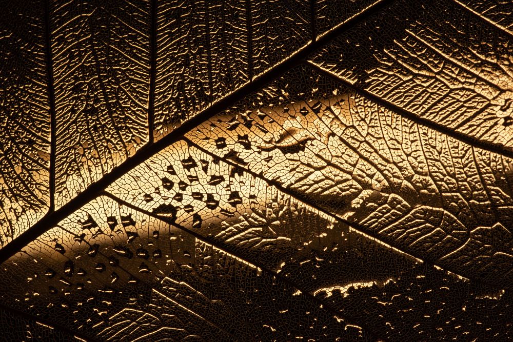 Фотография автора Ольга Альт