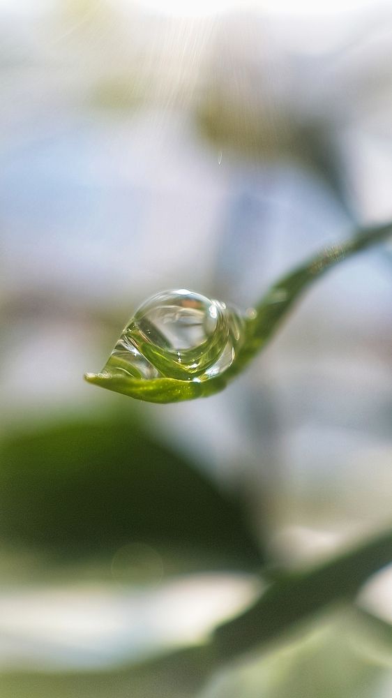 Фотография автора Анастасия Руднева