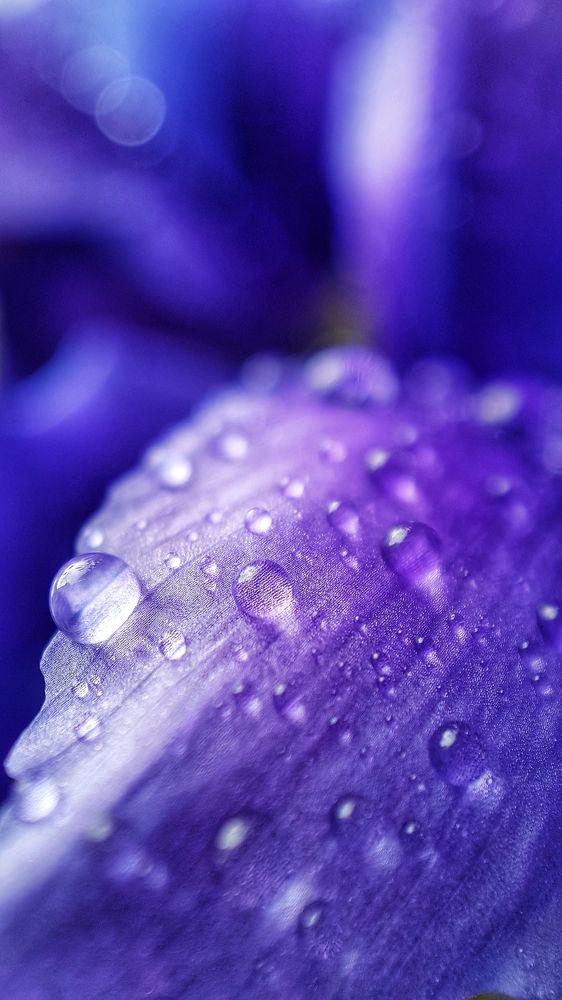 Фотография автора Анастасия Руднева