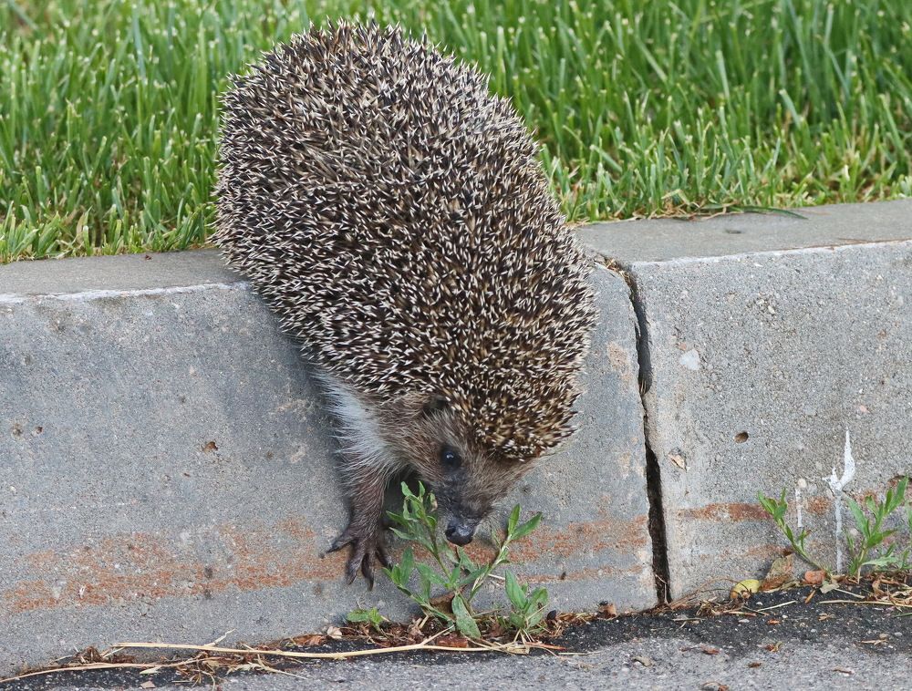 Photograph by Сергей Маслов