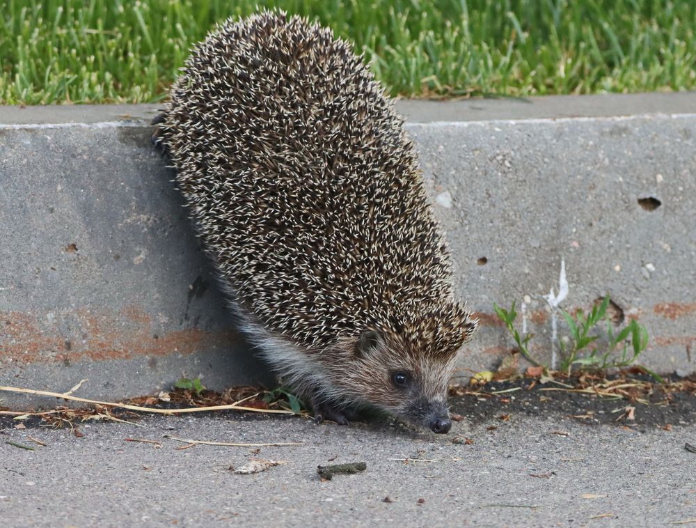 Photograph by Сергей Маслов