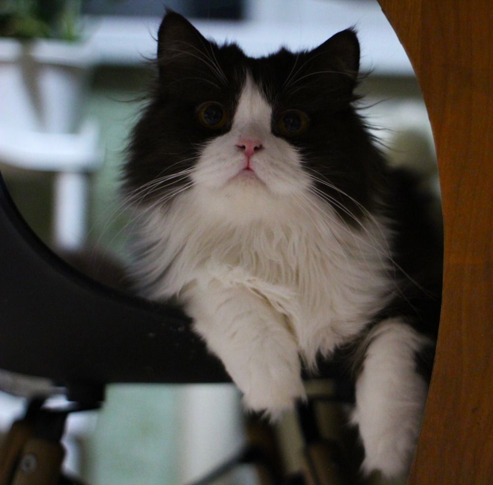 Photograph by Оксана Шарагина