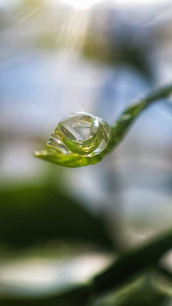 Фотография автора Анастасия Руднева