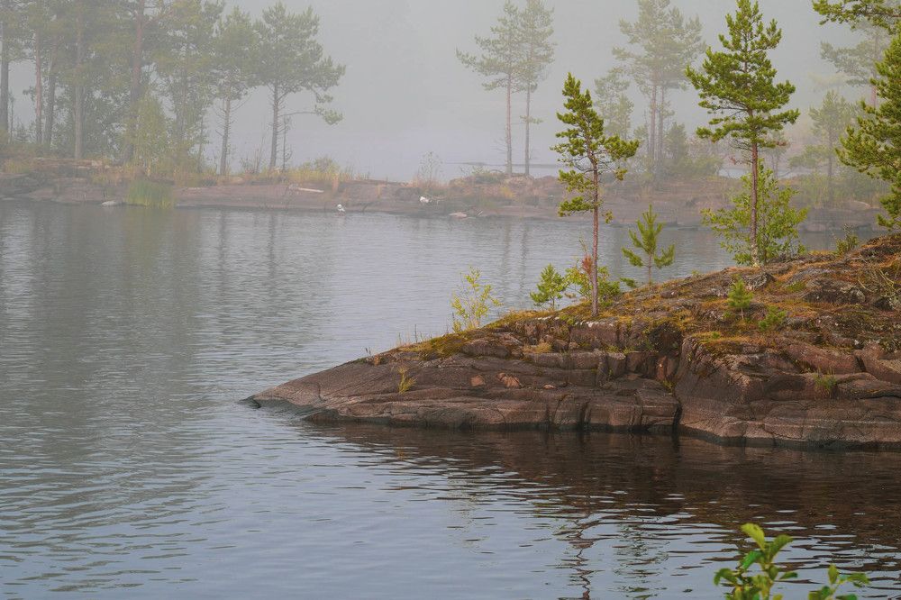 Photograph by Галина Андреева