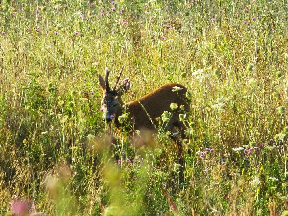 Photograph by Лариса Басова