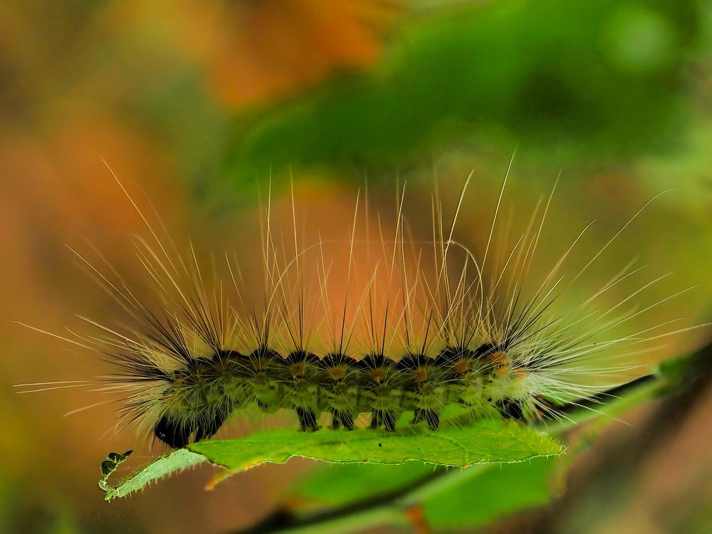 Photograph by Слави Котаров